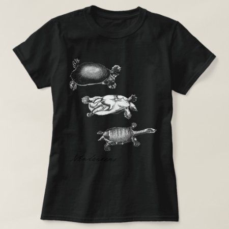 John Laurens's Turtles (dark Shirts Style)