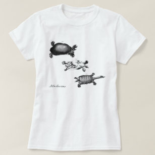 John Laurens's Turtles T-Shirt