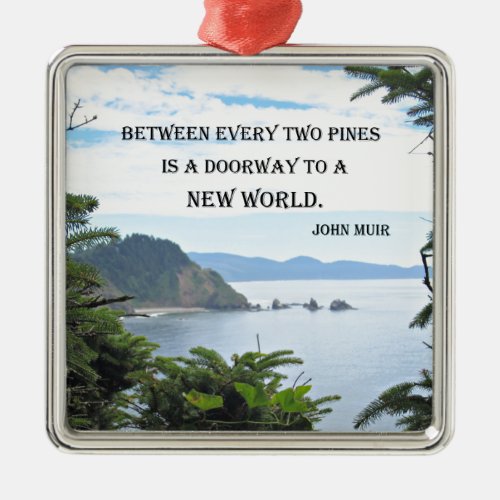 John Muir Between every two pines is a doorway Metal Ornament