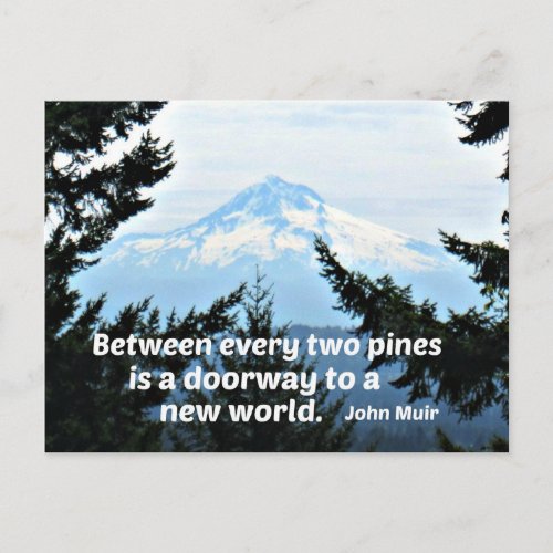 John Muir Between every two pines is a doorway Postcard