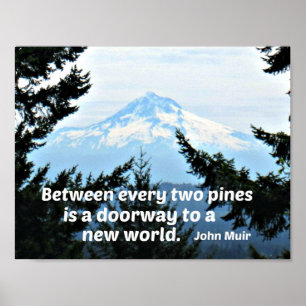 John Muir: "Between every two pines is a doorway" Poster