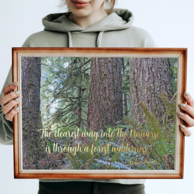 John Muir Nature Quote Forest Wilderness Foil Prints (In Situ)