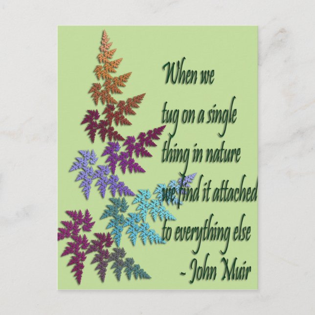 john muir - postcard (Front)
