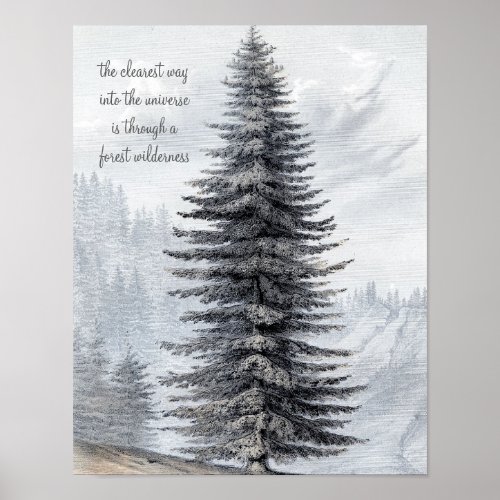 John Muir Quote Forest Wilderness Print