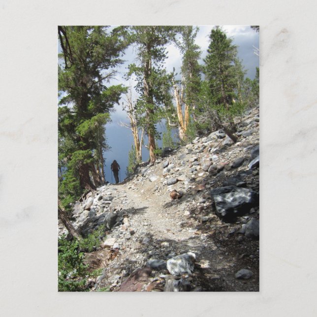 John Muir Trail Hiker - Sierra Nevada Mountains Postcard (Front)