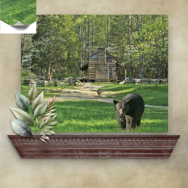 John Oliver Black Bear Cabin Poster (Creator Uploaded)