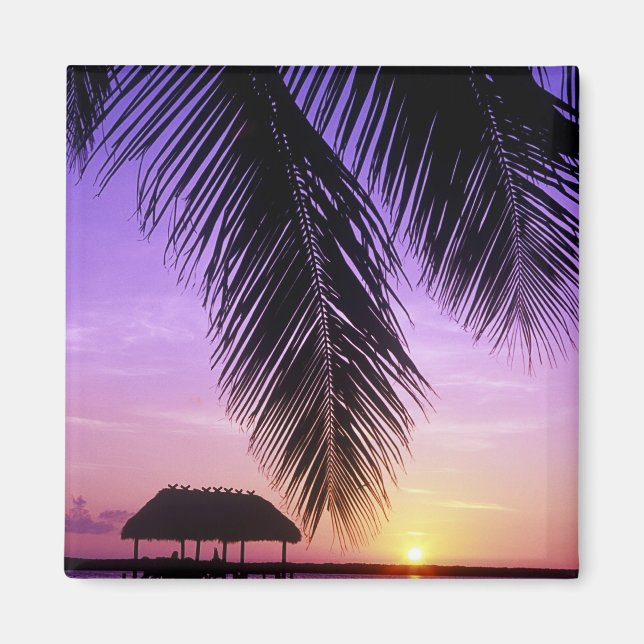 John Pennekamp State Park, Florida Keys, Key Magnet (Front)