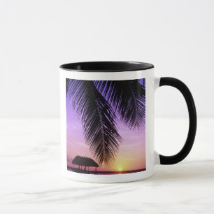 John Pennekamp State Park, Florida Keys, Key Mug