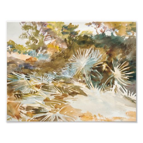 John Singer Sargent _ Landscape with Palmettos Photo Print