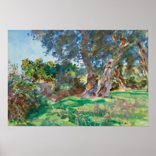 John Singer Sargent _ Olive Trees Corfu Poster