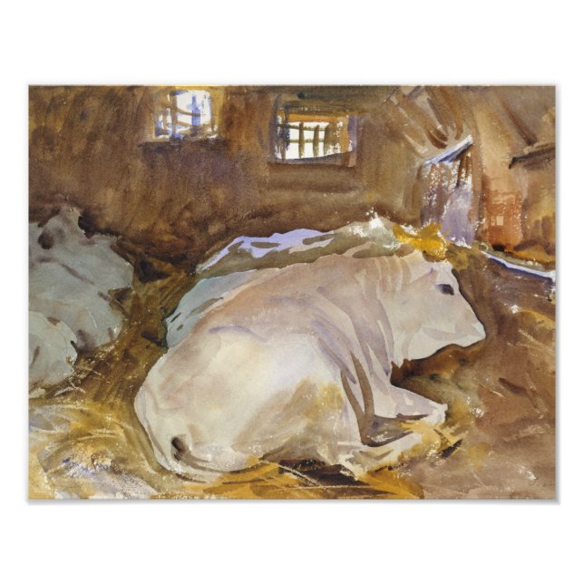 John Singer Sargent - Oxen Photo Print (Front)