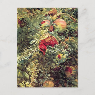 John Singer Sargent: Pomegranates Postcard