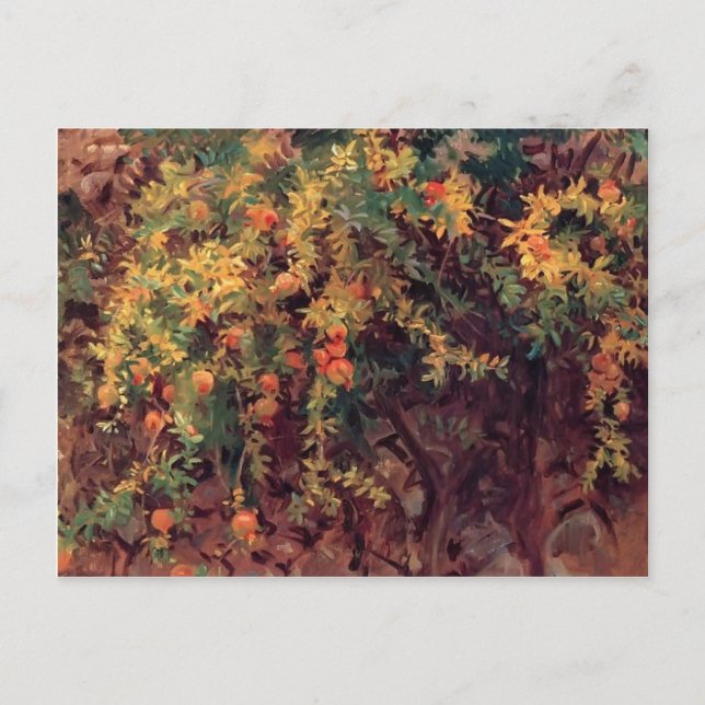 John Singer Sargent- Pomegranates Postcard (Front)