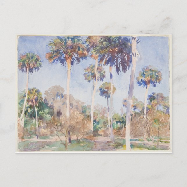 John Singer Sargent Watercolor - Palms Postcard (Front)