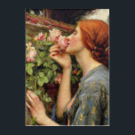 John William Waterhouse Acrylic Print<br><div class="desc">The Soul of the Rose,  John William Waterhouse</div>