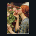 John William Waterhouse Acrylic Print<br><div class="desc">The Soul of the Rose, John William Waterhouse</div>