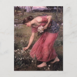 John William Waterhouse- Narcissus Postcard