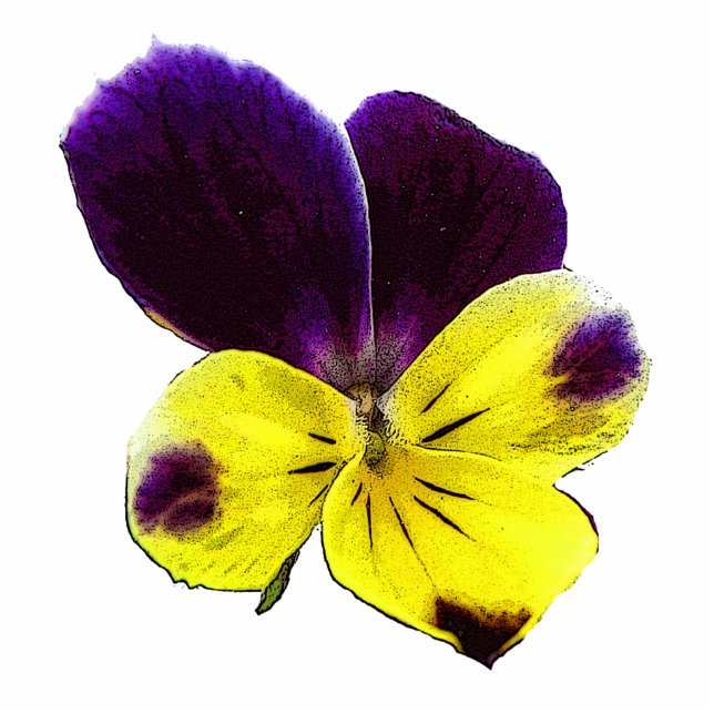 Johnny Jump Up Hanging Christmas Acrylic Cutout (Front)