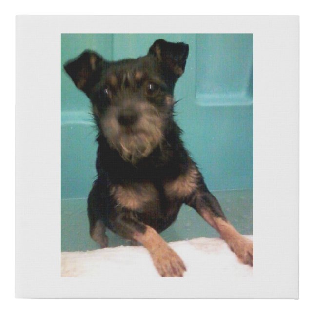 Johnny Likes Baths Faux Canvas Print (Front)