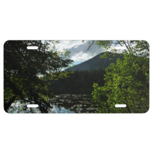 Johns Lake I at Glacier National Park License Plate