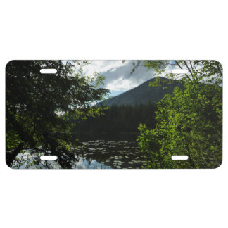 Johns Lake I at Glacier National Park License Plate