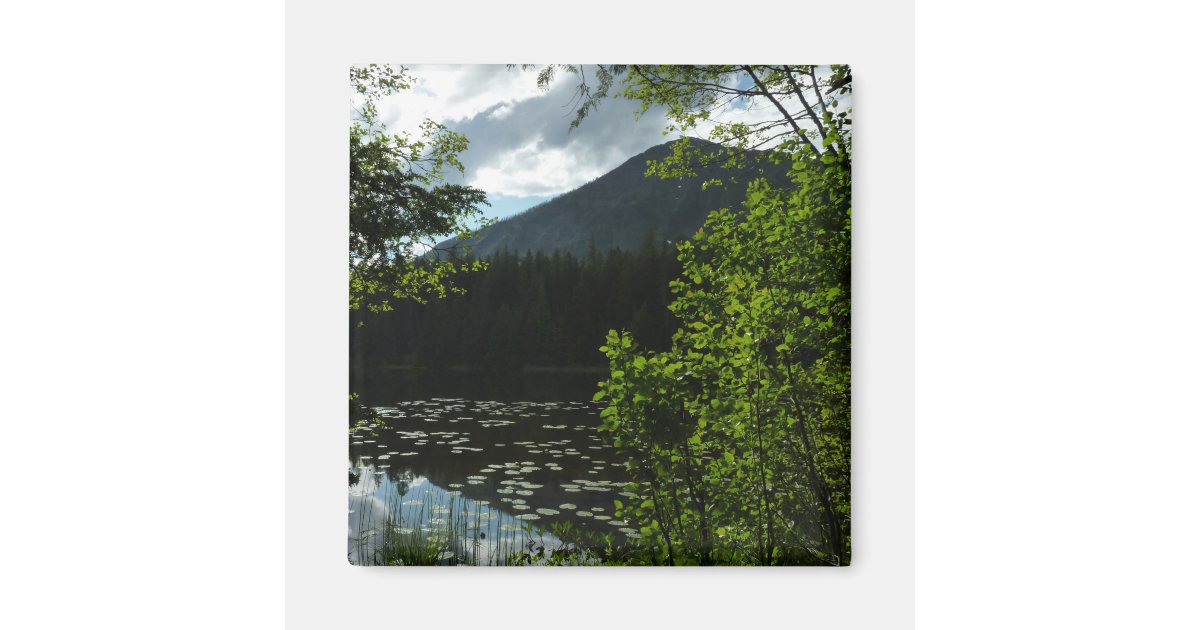 Johns Lake I at Glacier National Park Magnet | Zazzle