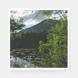 Johns Lake I at Glacier National Park Napkins