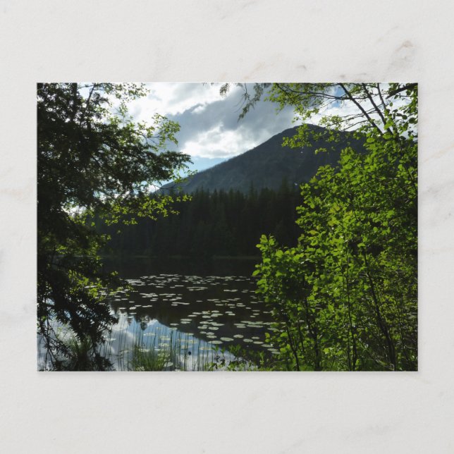 Johns Lake I at Glacier National Park Postcard (Front)