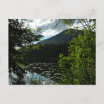 Johns Lake I at Glacier National Park Postcard