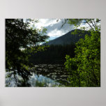 Johns Lake I at Glacier National Park Poster