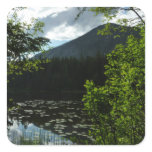 Johns Lake I at Glacier National Park Square Sticker