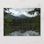 Johns Lake II at Glacier National Park Postcard