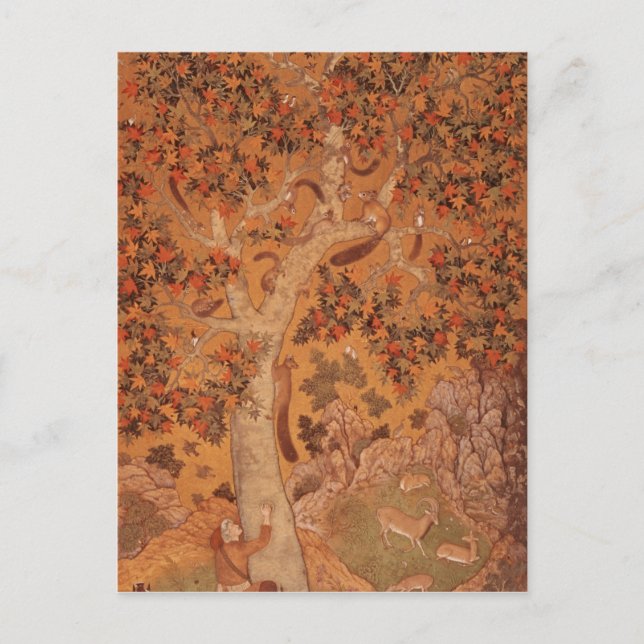 Johnson Album I, No.30 Squirrels on a plane Postcard (Front)