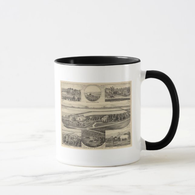 Johnson and Maxell Residences, Kansas Mug (Right)
