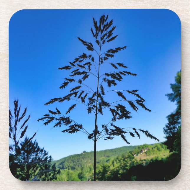 Johnson Grass Beverage Coaster (Front)