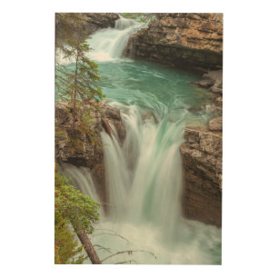 Johnston Canyon Falls Wood Wall Art