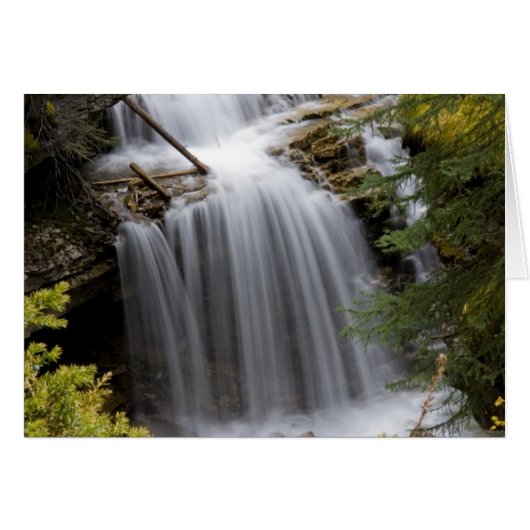 Johnston Canyon Waterfall Cards (Front Horizontal)