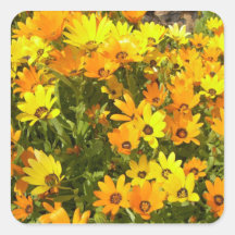 Joie de Vivre (1)  Stickers