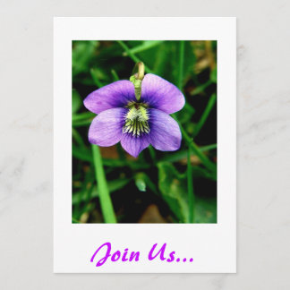 Join Us... Birthday Invite