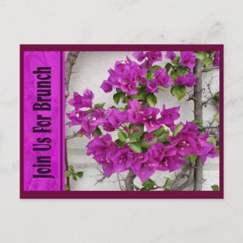 Join Us For Brunch Postcard by DonnaGrayson_Photos at Zazzle
