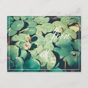 Join Us Green Leaves Water Lily Flower Postcard