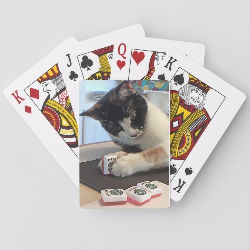 Joker cat poker cards