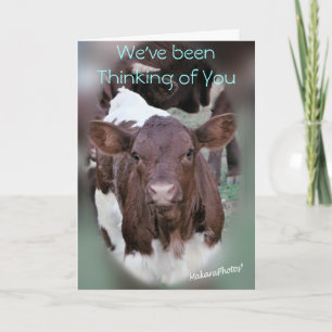 JolCrd-GetWell or Sympathy-customize Card