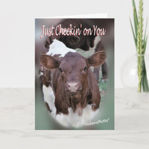 Jolee-Thinking of You-or other occasions-customize Card