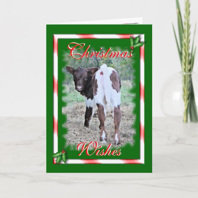 JoleeChristmas-customize Holiday Card (Front)