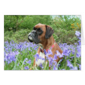 Jolie in the bluebells (Front Horizontal)