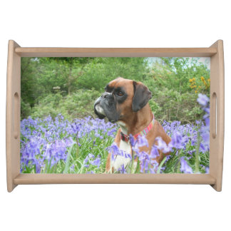 Jolie the Boxer Dog tray