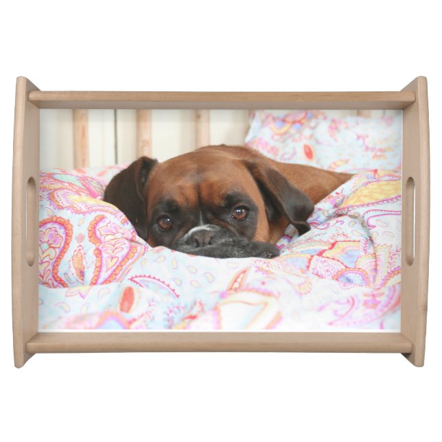 Jolie The Boxer on the duvet - Tray (Front)