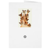 Joliet Whimsical Cats Cards (Back)