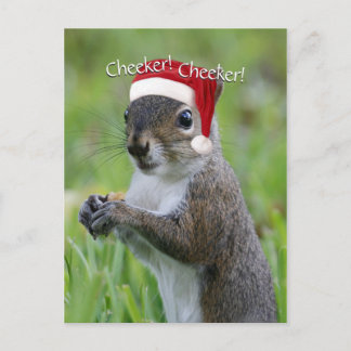 Jolly Florida Santa Squirrel™ Wearing Santa Hat Holiday Postcard